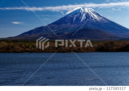 精進湖湖畔から見る冬の富士山 117385317