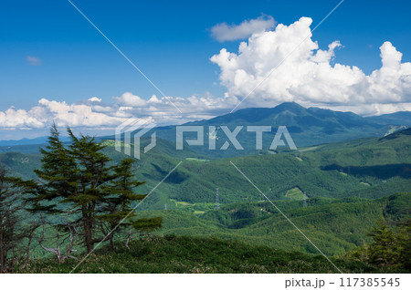 三峰茶屋からの眺め三峰茶屋からの眺め 大展望台 信州の山景色 三峰茶屋からの眺め三峰茶屋からの眺め 大展望台 信州の山景色 117385545