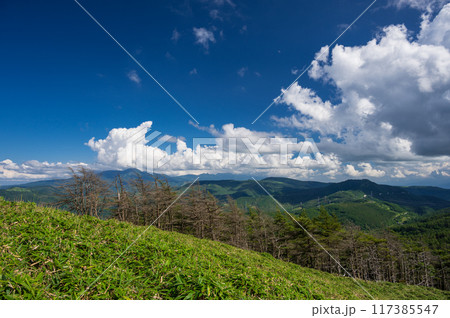 三峰茶屋からの眺め三峰茶屋からの眺め　大展望台　　信州の山景色 117385547