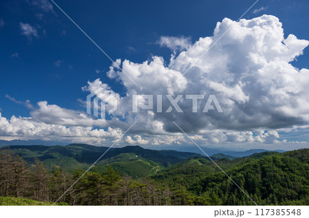 三峰茶屋からの眺め三峰茶屋からの眺め　大展望台　　信州の山景色 117385548