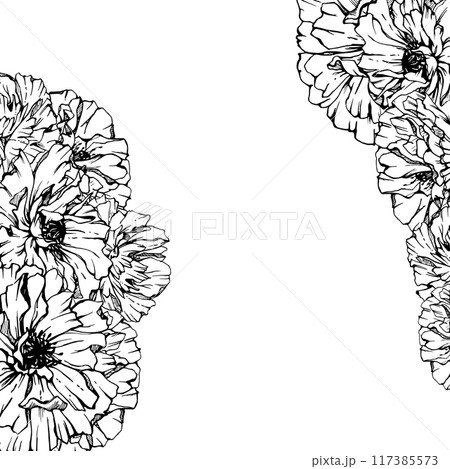 Hand drawn vector graphic botanical illustration flowers leaves. Red poppy papaver, stems buds seedpods. Border frame isolated on white background. Design wedding, cards, remembrance day stationery. Hand drawn vector graphic botanical illustration flowers leaves. Red poppy papaver, stems buds seedpods. Border frame isolated on white background. Design wedding, cards, remembrance day stationery. 117385573