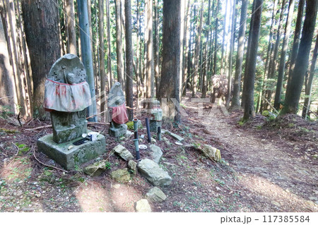 愛宕山の登山道 愛宕山の登山道 117385584