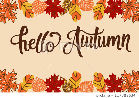 Hello autumn vector illustration, hand written lettering and fall leaves. 117385634