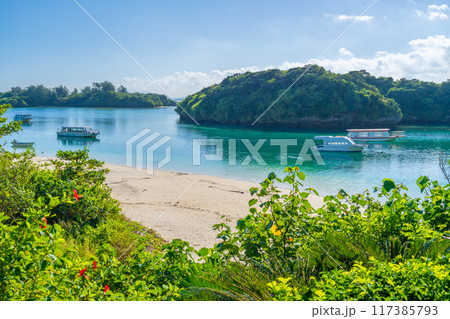 石垣・川平湾の風景 石垣・川平湾の風景 117385793