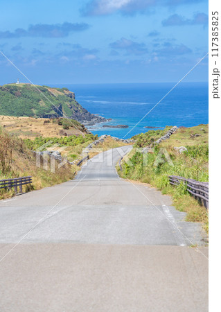 与那国の海へと続く道 117385825