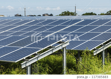 Solar cell modules or solar panels in solar power plants turn up skyward and absorb the sunlight from the sun using light energy to generate electricity in Taiwan. Solar cell modules or solar panels in solar power plants turn up skyward and absorb the sunlight from the sun using light energy to generate electricity in Taiwan. 117385883