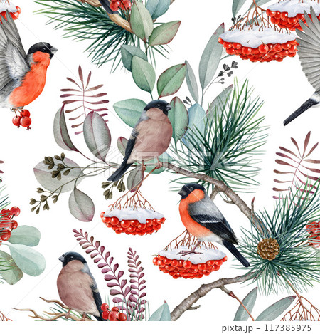 Winter time bullfinch birds seamless pattern, natural elements, pine branches, red berries snow covered. Watercolor illustration. Forest bullfinch bird, rowanberry, leaves design on white background Winter time bullfinch birds seamless pattern, natural elements, pine branches, red berries snow covered. Watercolor illustration. Forest bullfinch bird, rowanberry, leaves design on white background 117385975