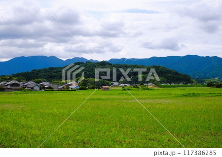 奈良県の香具山 117386285