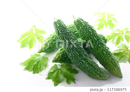 夏野菜 ゴーヤ （にがうり）白背景 117386975
