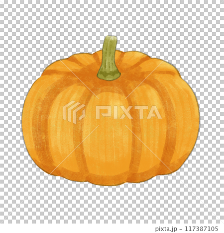 手描きのミニカボチャ 117387105