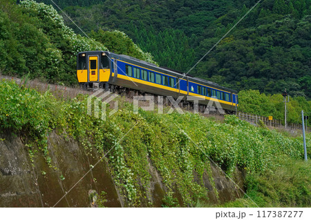 智頭急行のスーパーいなば 智頭急行のスーパーいなば 117387277