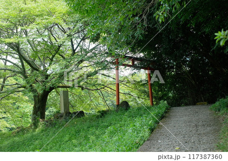 奈良桜井市の八大龍王弁財天大神 龗神神社の参道 117387360