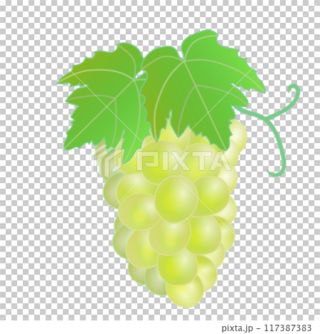 マスカットのイラスト 117387383