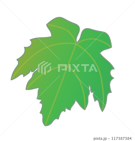 葡萄の葉っぱのイラスト 葡萄の葉っぱのイラスト 117387384