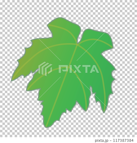 葡萄の葉っぱのイラスト 葡萄の葉っぱのイラスト 117387384