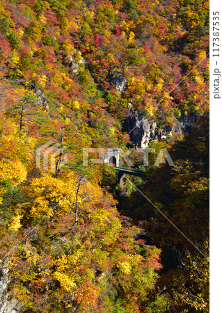 秋　鳴子峡　 117387535