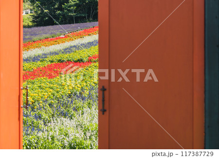 【扉を開けたら花畑】 【扉を開けたら花畑】 117387729