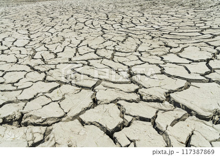 Dry lake bed with the natural texture of cracked clay on the perspective land.  117387869