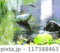 狩りをするシラサギ 117388463