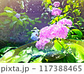 日向の鮮やかなアジサイ 117388465