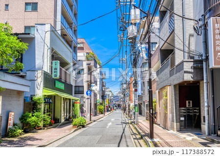 神奈川県川崎市の都市風景　新丸子駅 117388572