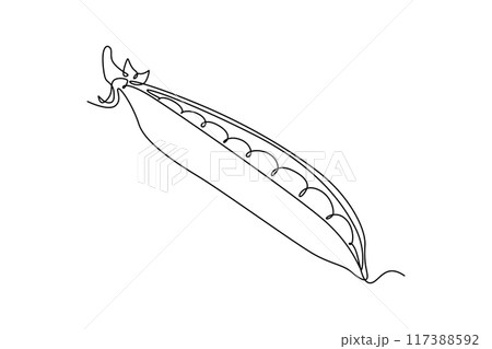 Continuous one line drawing whole healthy freshness organic green pea for farm logo identity. Fresh small spherical seed concept for vegetable icon. Single line draw design vector graphic illustration 117388592