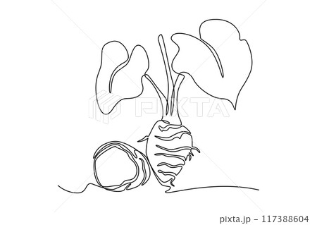 Single one line drawing of whole healthy organic taro for gardening logo identity. Fresh tropical plant edible corm concept root vegetable icon. Continuous line draw design graphic vector illustration 117388604