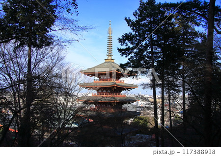 東京都日野市にある高幡不動尊金剛寺（たかはたふどうそんこんごうじ）の五重塔 117388918