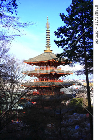 東京都日野市にある高幡不動尊金剛寺（たかはたふどうそんこんごうじ）の五重塔 117388919