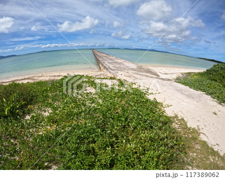 伊古桟橋 伊古桟橋 117389062