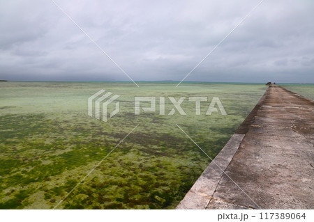 伊古桟橋 伊古桟橋 117389064