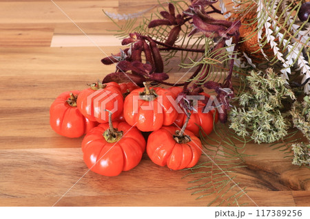 花なすで秋イメージ 117389256