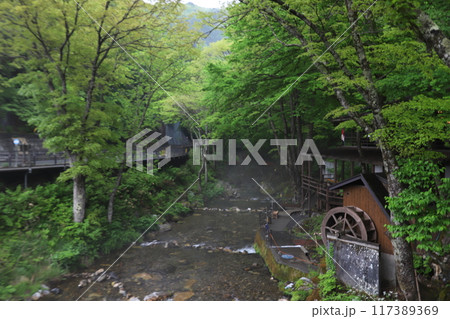 龍泉洞 龍泉洞 117389369