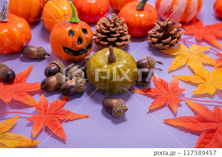 ハロウィンのイメージ 117389457