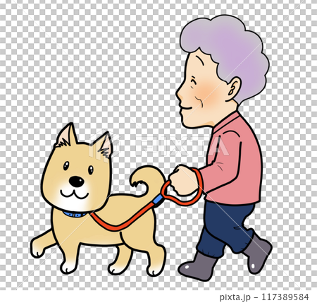 犬を散歩させるおばあちゃん 117389584