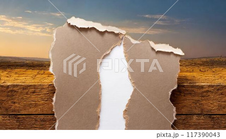 破れた紙のテクスチャ 破れた紙のテクスチャ 117390043