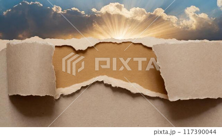 破れた紙のテクスチャ 117390044