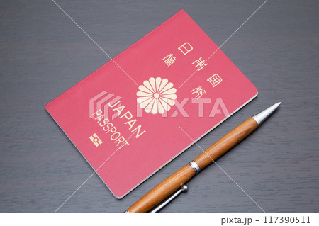 日本国旅券（赤色　有効期限10年） 117390511