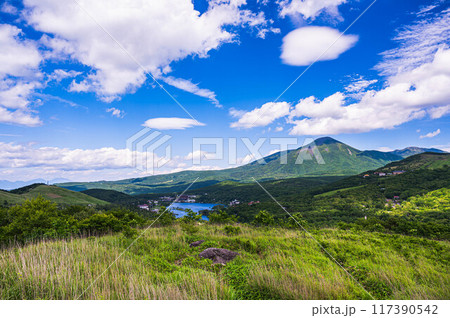 夏の霧ヶ峰からの白樺湖と蓼科山 117390542