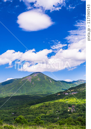 夏の霧ヶ峰からの蓼科山 夏の霧ヶ峰からの蓼科山 117390543