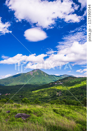 夏の霧ヶ峰からの蓼科山 夏の霧ヶ峰からの蓼科山 117390544