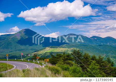 夏の蓼科山とビーナスライン 夏の蓼科山とビーナスライン 117390545