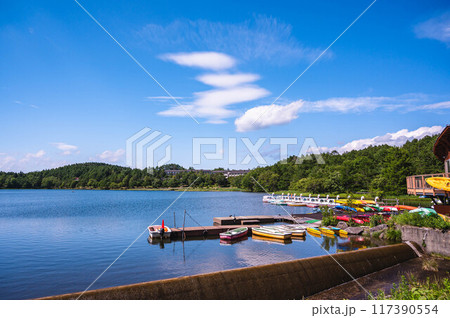 夏の白樺高原　女神湖 117390554