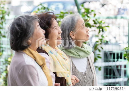 仲良しシニア女性　笑顔 117390824