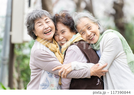 仲良しシニア女性　笑顔 117390844