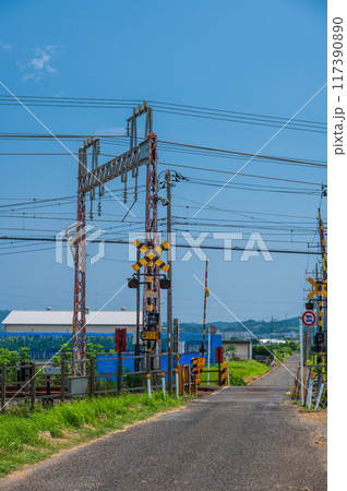 田舎の踏切　伊勢原の田園に立つ踏切 117390890