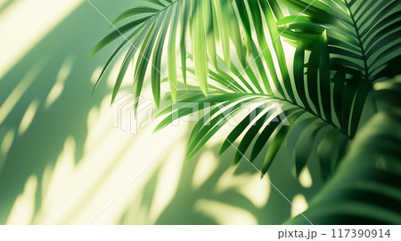 ヤシの木の背景、空間 117390914