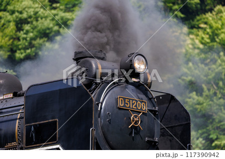 煙突から勢いよく煙を吐く蒸気機関車(デゴイチ・D51) 煙突から勢いよく煙を吐く蒸気機関車(デゴイチ・D51) 117390942