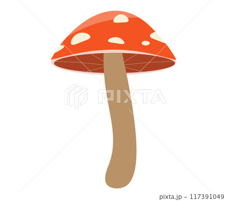 キノコのベクターイラスト。秋の味覚。食べ物。 キノコのベクターイラスト。秋の味覚。食べ物。 117391049