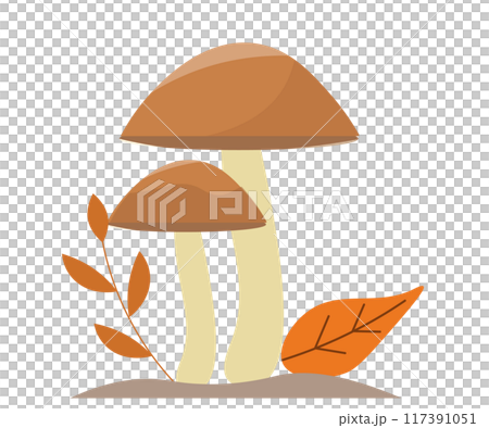 秋天的蘑菇和葉子。向量圖 117391051
